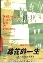 棉花的一生（1982 PDF版）