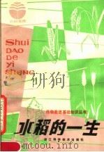 水稻的一生（1982 PDF版）