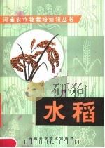 水稻 1981 PDF电子版封面 16245·7 河南省信阳地区农业科学研究所编