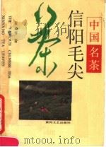中国名茶:信阳毛尖 1989 PDF电子版封面 7540002689 程书祥著