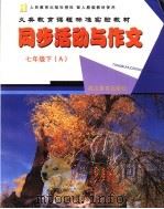 同步活动与作文  七年级A（ PDF版）