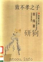 致不孝之子 1997 PDF电子版封面 7805519587 张炜著
