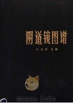 阴道镜图镨 1983 PDF电子版封面 14048·4248 孙定祥著