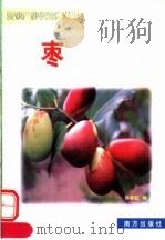 枣（1999 PDF版）