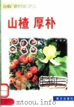 山楂 厚朴 1999 PDF电子版封面 7806097813 阿珊编