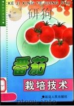 番茄栽培新技术（1999 PDF版）