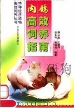 肉鸽高效饲养指南（1999 PDF版）