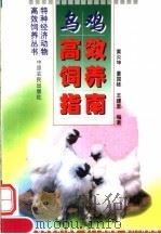乌鸡高效饲养指南（1999 PDF版）