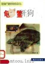 农业产业化致富丛书  龟鳖（1998 PDF版）
