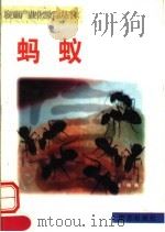 蚂蚁（1999 PDF版）
