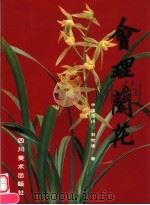 会理兰花 1999 PDF电子版封面 7541015717 刘世渡著