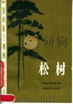 松树（1984 PDF版）