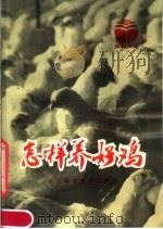 怎样养好鸡（1984 PDF版）