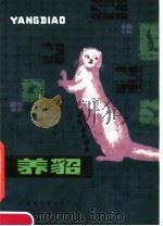 养貂（1981 PDF版）