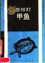 怎样打甲鱼 1990 PDF电子版封面 7535205933 卢金光著