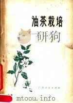 油茶栽培（1977 PDF版）