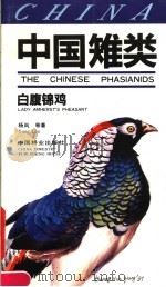 中国雉类 白腹锦鸡 Lady amherst's pheasant 1992 PDF电子版封面 7503808128 杨岚等著