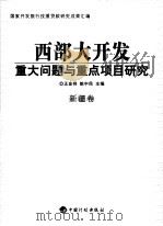 西部大开发重大问题与重点项目研究  新疆卷（ PDF版）
