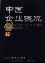 中国企业概况 13 1993 PDF电子版封面 7800011976 中国企业概况编辑委员会,中国企业概况编辑部编