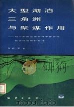 大型湖泊三角洲与聚煤作用 鄂尔多斯盆地西缘中侏罗统延安组煤聚积规律 1993 PDF电子版封面 7116014098 张韬等著
