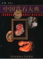 中国赏石大典 1999 PDF电子版封面 7533121317 贾祥云主编