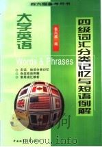 大学英语四级词汇分类记忆与短语例解 1998 PDF电子版封面 7562513139 鲁兴威编