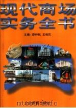 现代商场实务全书 1995 PDF电子版封面 780001634X 舒仲秋,王裕民主编