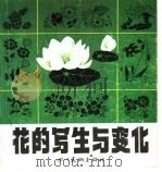 花的写生与变化（1985 PDF版）