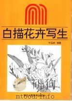 白描花卉写生（1993 PDF版）