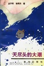 天尽头的大潮 1991 PDF电子版封面 7502715150 丛子明,徐英杰著