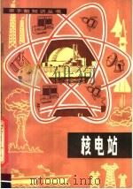 核电站 1981 PDF电子版封面 15175·319 (美)R.L.莱尔利,(美)W.米切尔著;柴芳蓉译