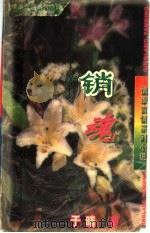 销魂 1997 PDF电子版封面 7225011928 雪米莉著