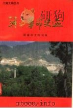 河南革命史迹 1993 PDF电子版封面 7805385106 河南省文物局编