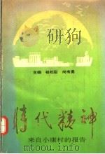 时代精神 来自小康村的报告 1993 PDF电子版封面 7215025969 祖松臣,尚有勇主编
