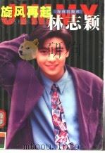 旋风再起-林志颖 1999 PDF电子版封面 7806456090 林志颖等撰;常铸鼐主编