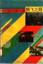 中小企业腾飞之路 1989 PDF电子版封面 7215006751 吉宝银,邱仁旺主编