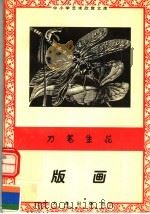 恨笔生花:版画 1996 PDF电子版封面 7806122710 张君著