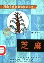芝麻  修订版（1984 PDF版）