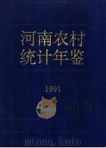 河南农村统计年鉴 1991 1991 PDF电子版封面 7503706546 河南省农村社会经济调查队编