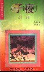 子夜 1993 PDF电子版封面 7805345740 茅盾原著;国虬改写