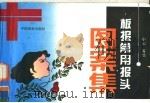 板报常用报头图案集 1995 PDF电子版封面 7800242218 小山等绘