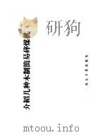 介绍几种木制简易碎煤机 1959 PDF电子版封面 15062·1465 信义煤矿等著
