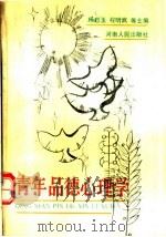 青年品德心理学 1990 PDF电子版封面 7215010899 杨启玉,程明成等主编