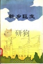 新乡巨变 1993 PDF电子版封面 7215023893 中共新乡市委党史工作委员会编