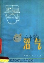 沼气（1976 PDF版）