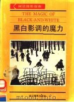 黑白影调的魔力 1991 PDF电子版封面 7805361118 陈红,肖鹭译