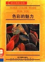 色彩的魅力 1991 PDF电子版封面 780536110X 西辰,晓宇译