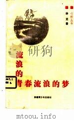 流浪的青春流浪的梦 1996 PDF电子版封面 7537125147 洋雨主编