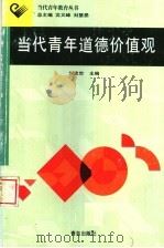 当代青年道德价值观 1999 PDF电子版封面 7543616173 刘忠世主编
