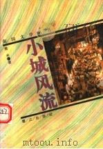 小城风流 1994 PDF电子版封面 7806101144 青禾著